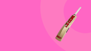 Cricket bats
